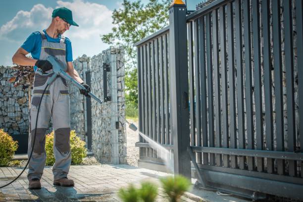 Boat and Dock Cleaning in Reed City, MI